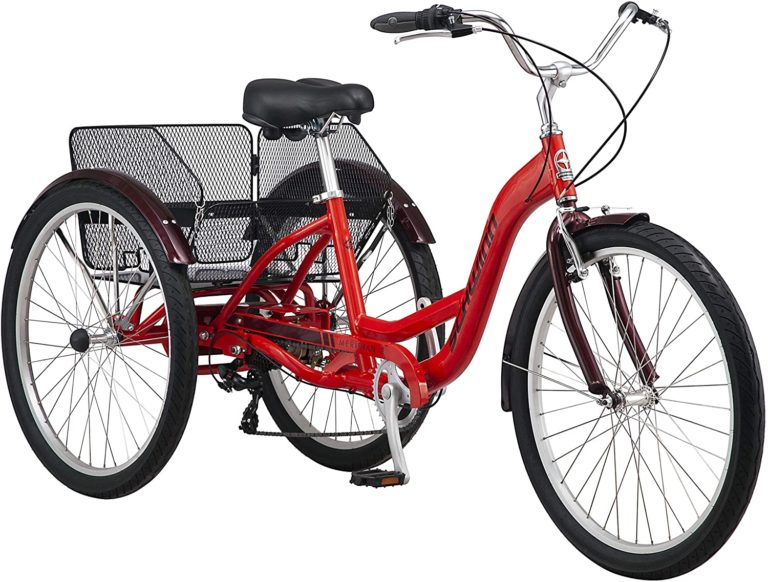 Read more about the article A Bicycle Built For a Parkie (Me!)